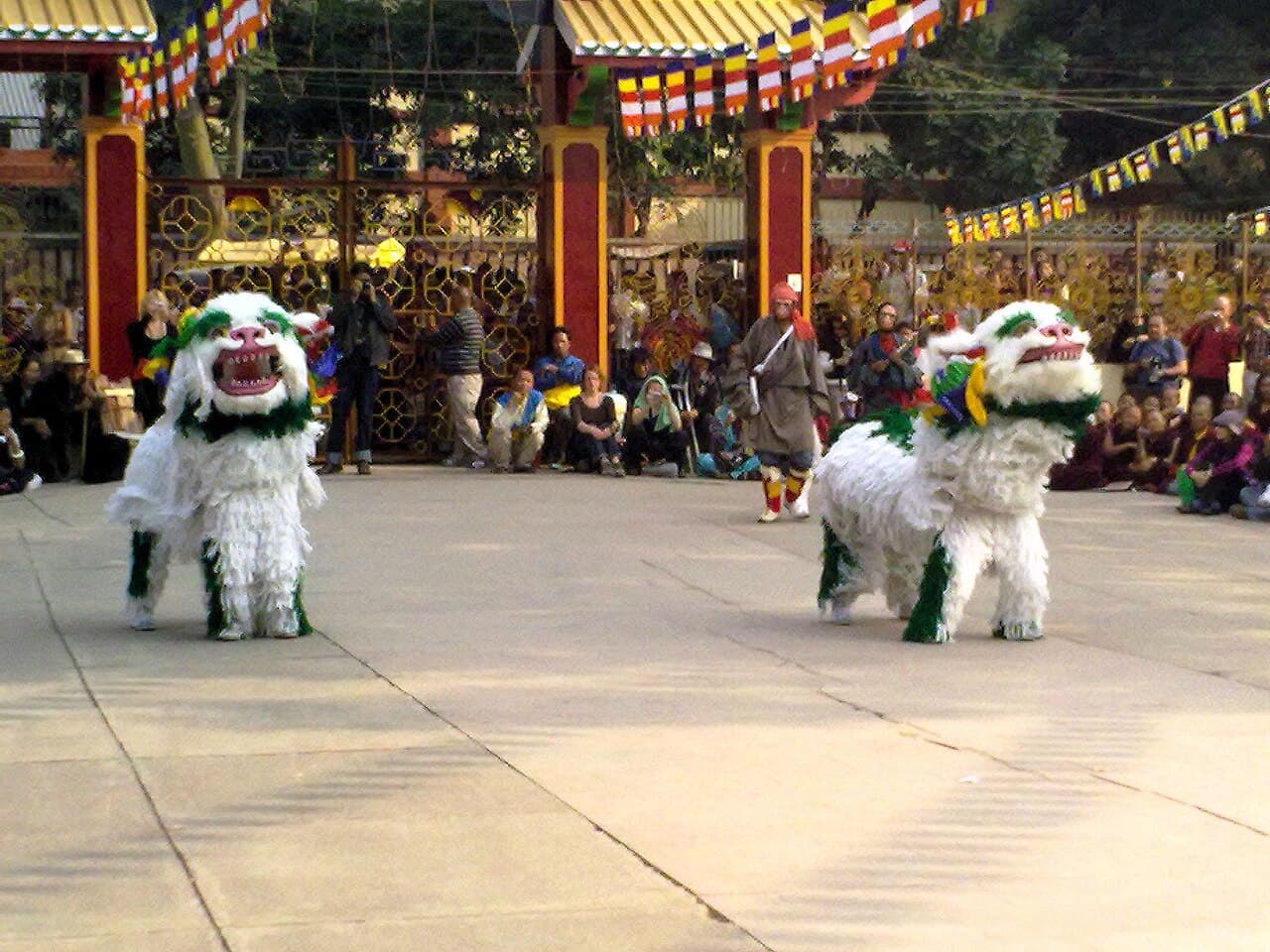 Snow Lion Dance (Singhi Chham, Ladakh)